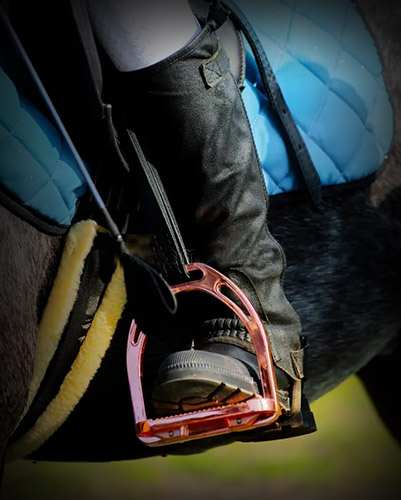 HORSE STIRRUPS