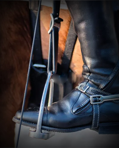 HORSE SPURS