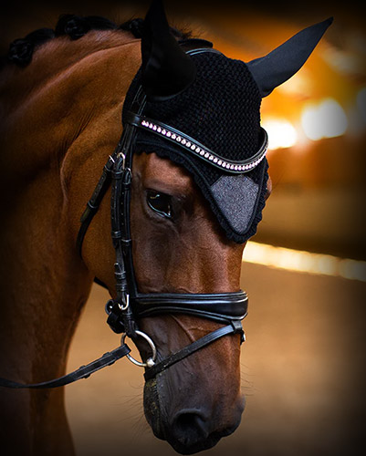 RIDER PRODUCTS